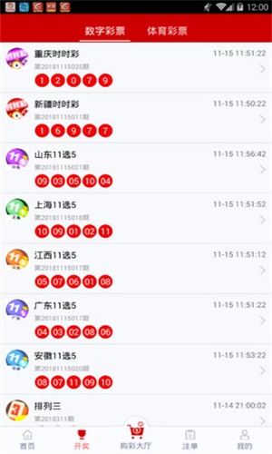 一碼一肖，揭秘背后的秘密與探索其獨特魅力，揭秘一碼一肖背后的秘密與獨特魅力探索