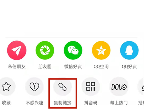 白小姐王中王中特一肖，神秘傳奇與SEO探索，神秘傳奇與SEO探索，白小姐王中王中特一肖的奧秘