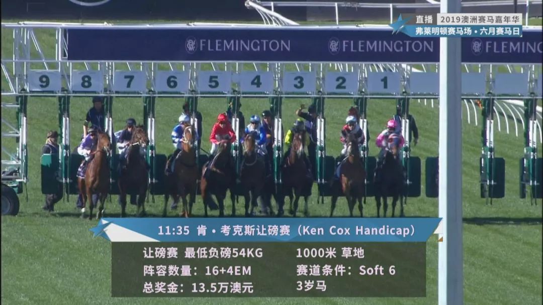 賽馬澳門六月開獎結(jié)果，探索與期待，澳門六月賽馬開獎揭曉，探索結(jié)果引期待
