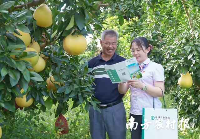 資料大全正版資料2025，一站式獲取所有你需要的信息，資料大全正版資料2025，一站式獲取所有信息總匯