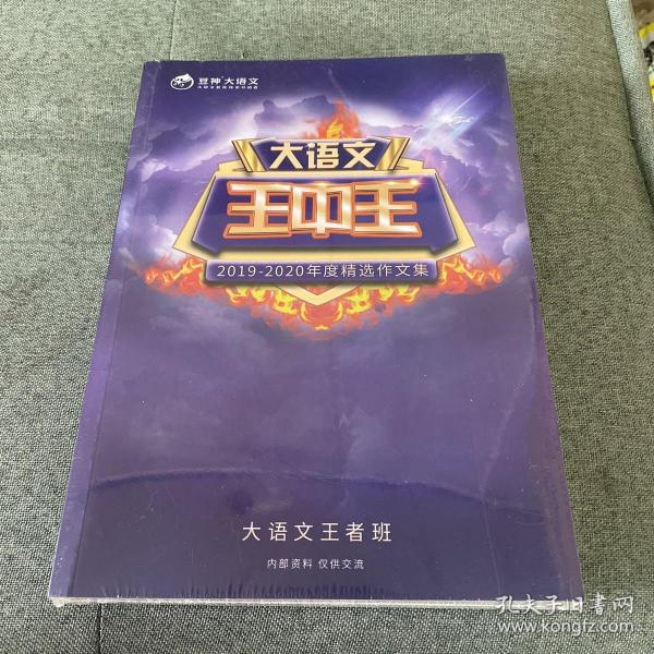 王中王資料2019一肖，揭秘生肖運勢與特性，揭秘生肖運勢與特性，王中王資料2019一肖解析