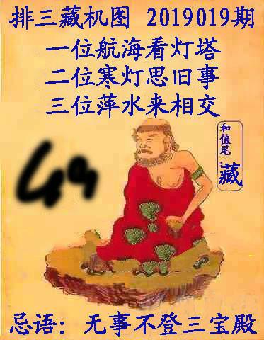 王中王019期指一生肖，深度解讀與SEO優(yōu)化策略，王中王019期生肖深度解讀與SEO策略優(yōu)化指南