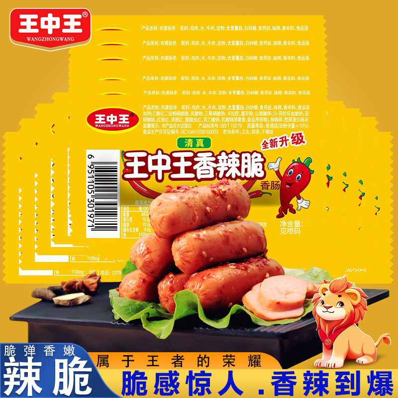 王中王資料一y肖中，深度解析與探索，王中王資料一y肖中深度解析與探索揭秘