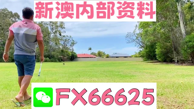 王中王一碼二肖，揭秘背后的秘密，揭秘王中王一碼二肖背后的秘密