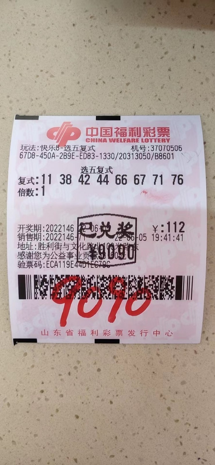 揭秘002期王中王平特一肖，背后的故事與奧秘，揭秘王中王平特一肖背后的故事與奧秘（第002期）