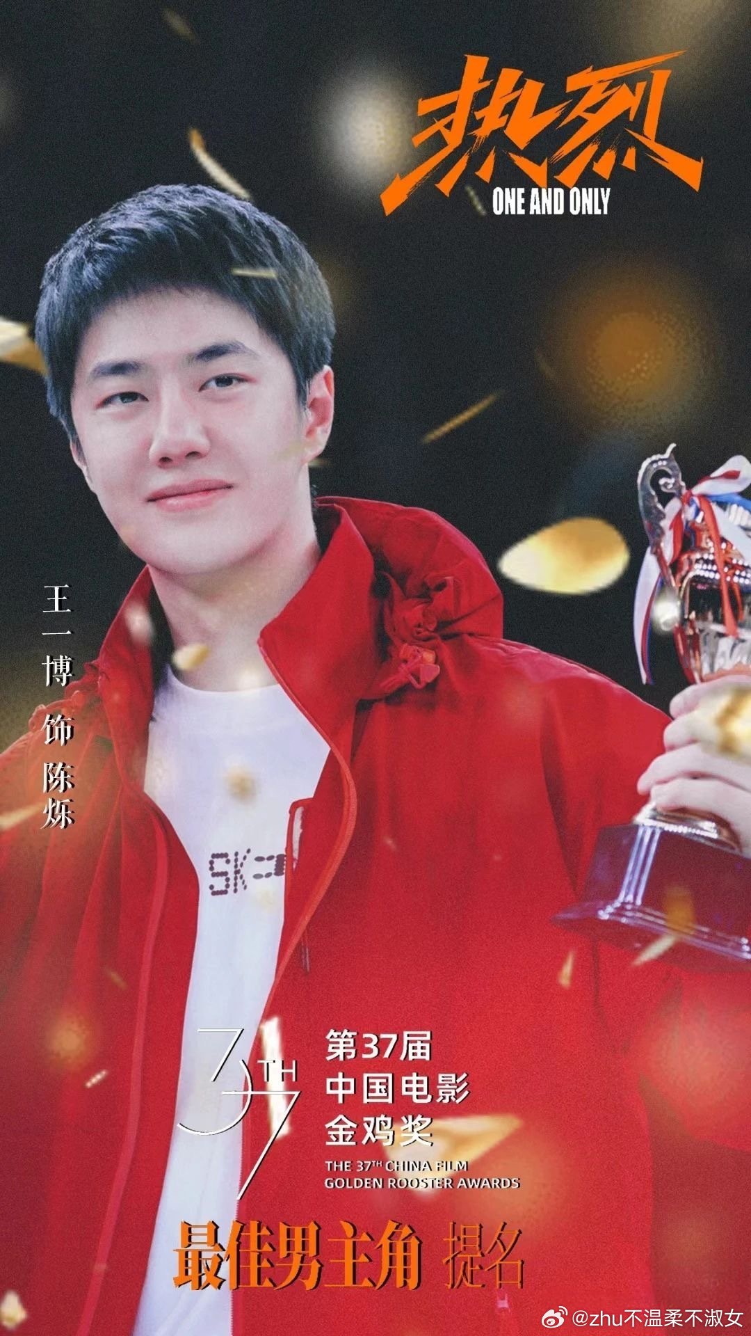 王中王一肖一特一中一中，探尋背后的故事與奧秘，探尋王中王一肖背后的故事與奧秘