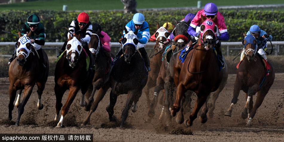 王中王與一馬中特，探尋生肖之魅力——關于生肖屬相的獨特解讀，揭秘生肖魅力，王中王與一馬中特的獨特解讀