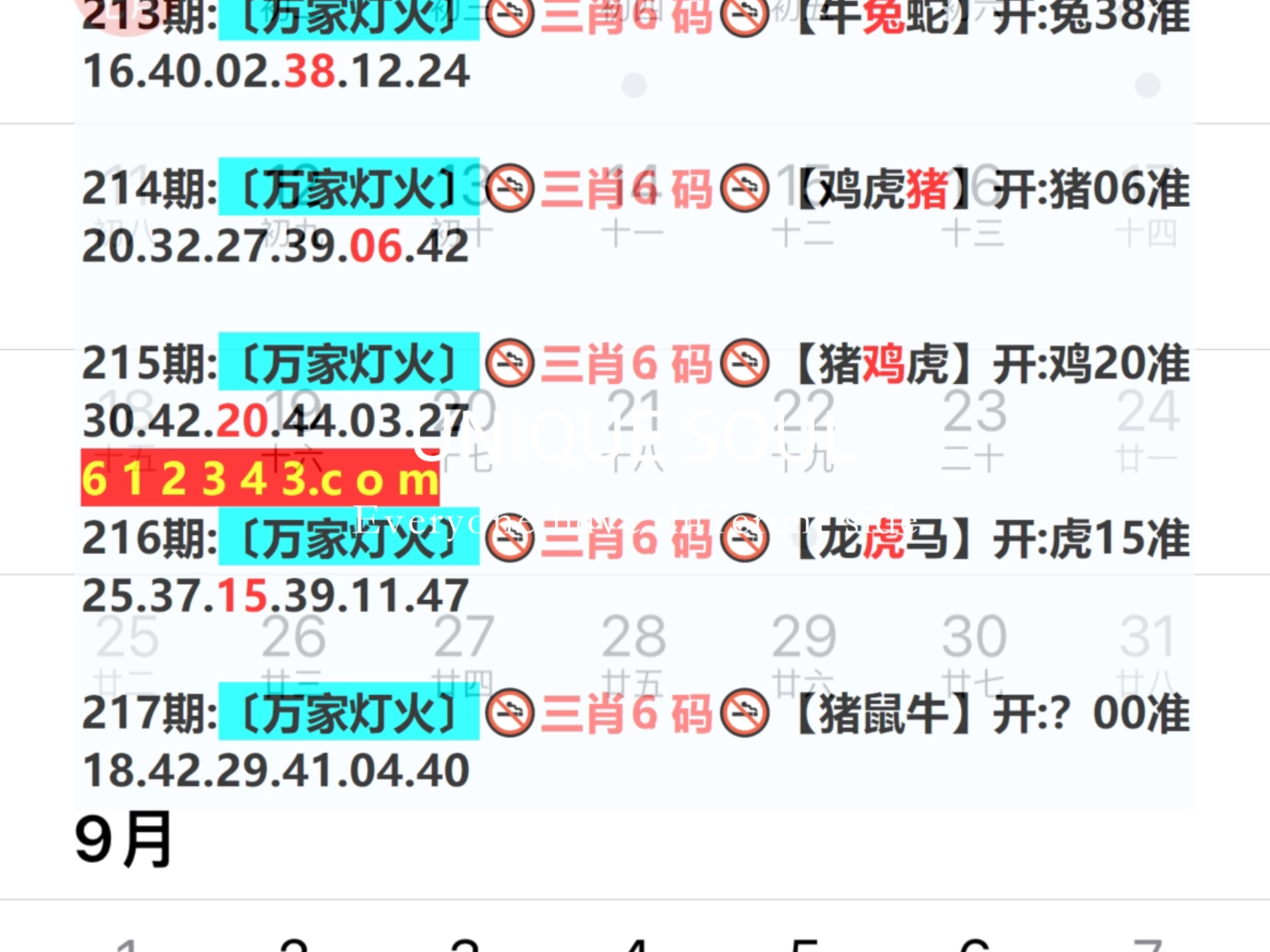 新奧今日六肖中特，揭秘背后的秘密與趨勢分析，揭秘新奧今日六肖中特背后的秘密與趨勢分析