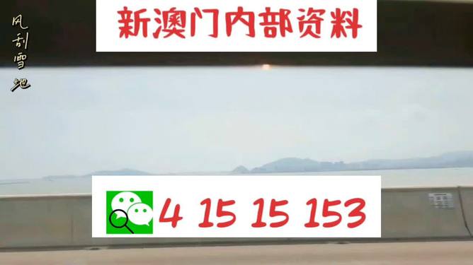 新澳2025最新資料生肖，深度解析與預(yù)測(cè)展望，新澳2025最新生肖資料深度解析與未來預(yù)測(cè)展望