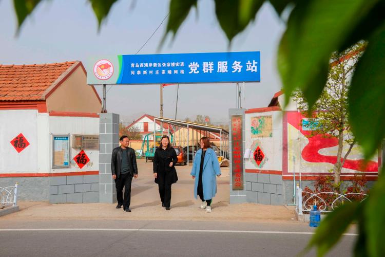 2025新澳天天開彩大全——衣冠群獸探秘，2025新澳天天開彩大全，衣冠群獸探秘之旅