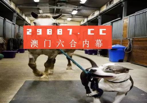 澳門(mén)一肖一碼一必中一肖，同舟前進(jìn)的奧秘與策略，澳門(mén)一肖一碼必中策略與前進(jìn)奧秘，同舟共濟(jì)的揭秘與策略