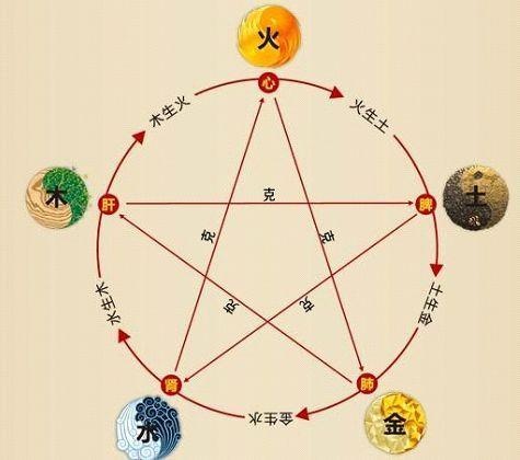 鐵算算盤4887最準(zhǔn)資料，揭秘其背后的秘密與優(yōu)勢，揭秘鐵算算盤4887，最準(zhǔn)資料背后的秘密與優(yōu)勢