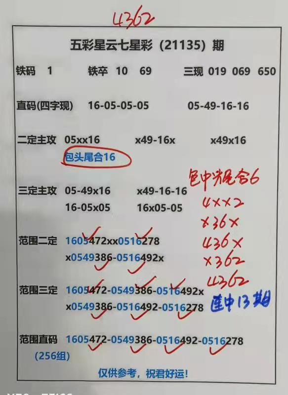 迎接美好未來，2025天天好彩，迎接美好未來，2025年天天精彩無限