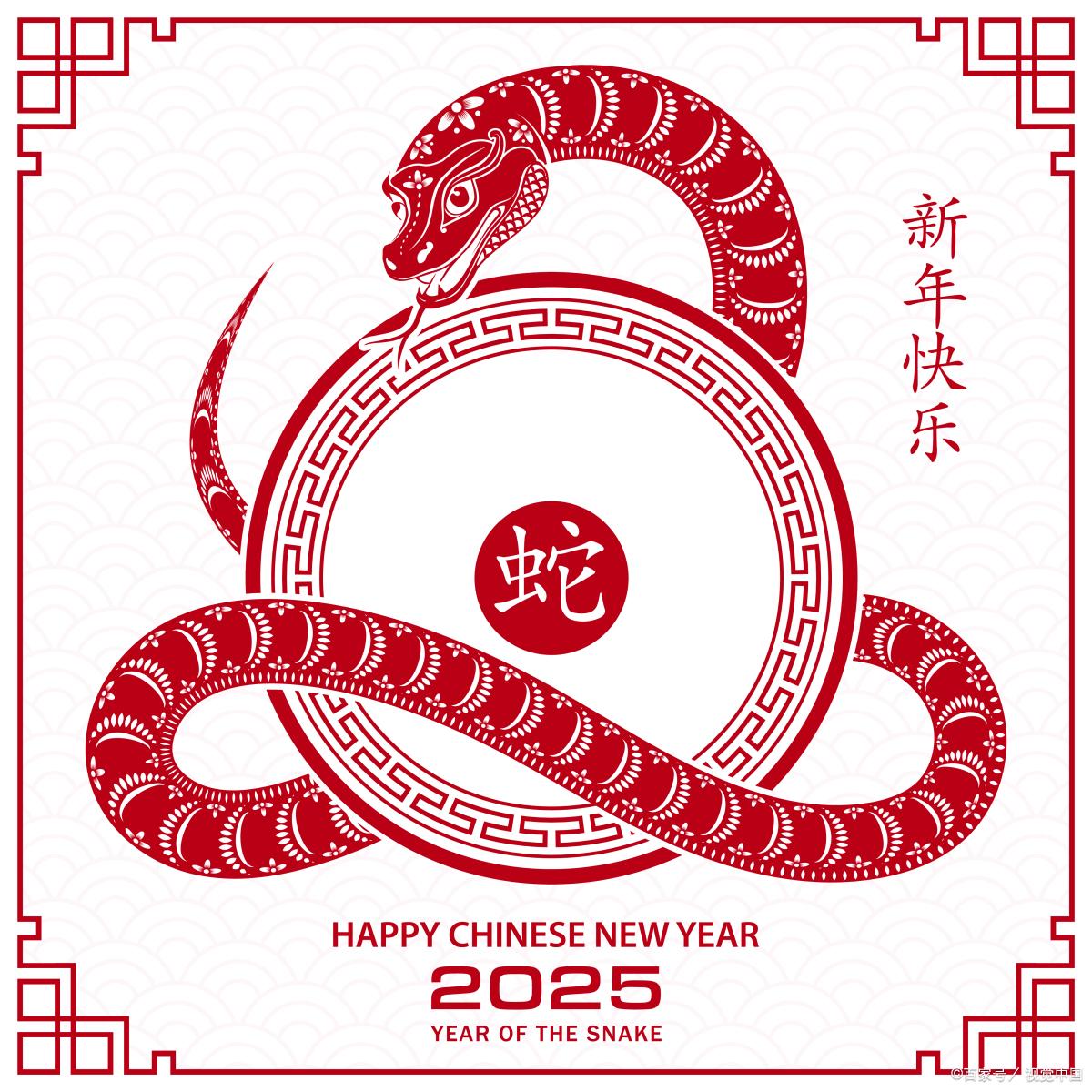 新澳2025年生肖圖
