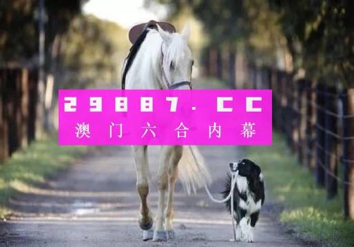 澳門彩的奧秘世界與SEO優(yōu)化策略探討 —— www.04812com的獨家解析，澳門彩奧秘與SEO優(yōu)化策略獨家解析，www.04812com深度探討