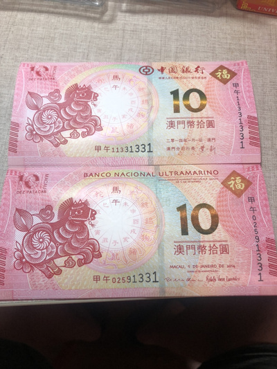 揭秘明天澳門必中生肖的神秘面紗，揭秘明天澳門必中生肖的神秘秘密