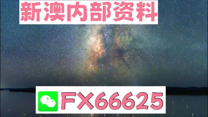 新澳天天彩開獎資料大全正版，全面解析與實用指南，新澳天天彩開獎資料正版解析與實用指南