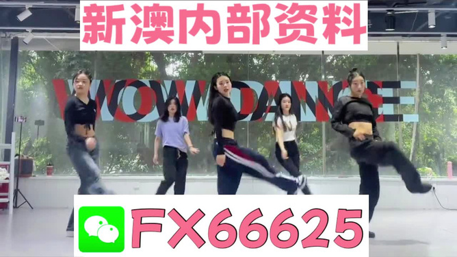 新澳最新版精準(zhǔn)特色，深度解析其優(yōu)勢與吸引力，新澳最新版特色解析，優(yōu)勢與吸引力深度探討