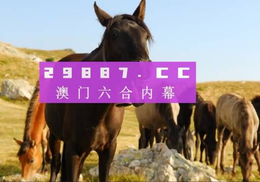 2024澳門天天開好彩大全