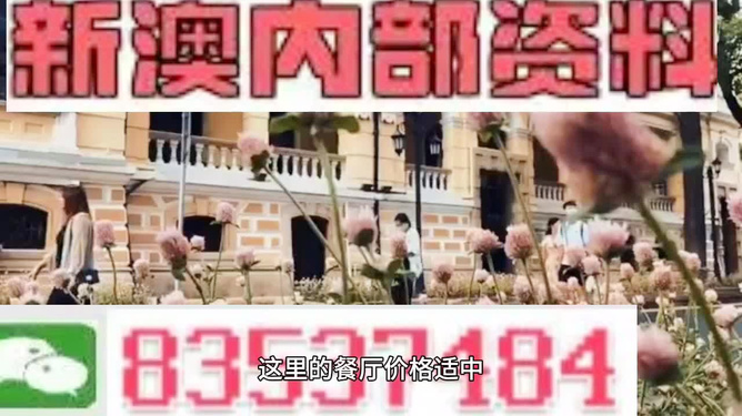 新澳門，探索最精準(zhǔn)、最快的信息更新速度，新澳門，追求最快速、精準(zhǔn)的信息更新之道