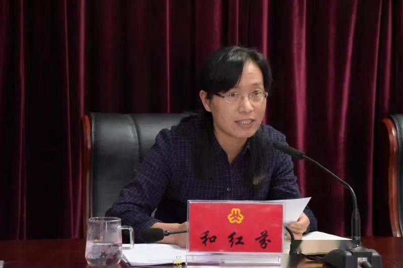 二四六香港期期中的資料解析與SEO優(yōu)化策略，香港期期二四六資料解析與SEO優(yōu)化策略探討