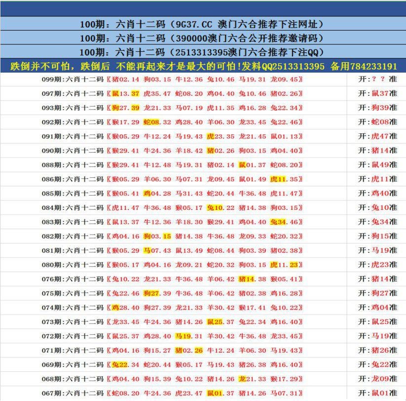 澳門無錯九肖今日搜狗，探索與解析，澳門無錯九肖今日搜狗，深度解析與探索