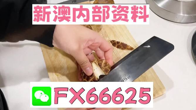 澳門九點(diǎn)半9點(diǎn)半網(wǎng)站——探索其魅力與優(yōu)勢(shì)，澳門九點(diǎn)半網(wǎng)站，魅力與優(yōu)勢(shì)探索