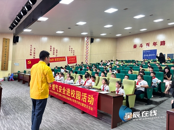 新奧49正版資料，探索與解析，新奧49正版資料深度探索與解析