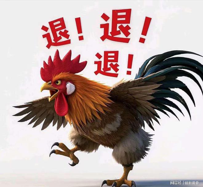 2023年澳門今晚最新消息概覽，澳門最新消息概覽，2023年今晚動(dòng)態(tài)速遞