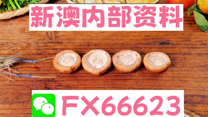 新澳正版資料免費(fèi)提供，全面解析與深度探索，新澳正版資料全面解析與深度探索，免費(fèi)提供的指南