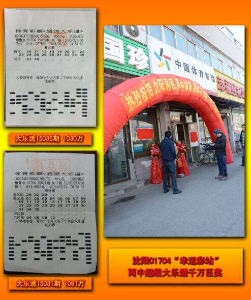 王中王平特一肖二選一，深度解析與SEO優(yōu)化策略，王中王平特一肖二選一深度解析與SEO策略優(yōu)化指南