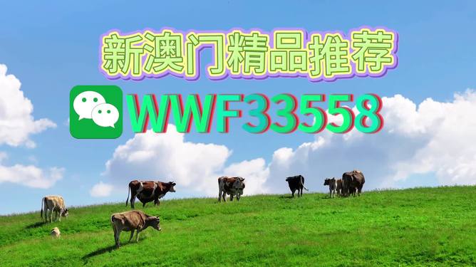 新澳今晚9點30分準確生肖預(yù)測——揭秘生肖運勢，把握未來走向，新澳今晚9點30分生肖運勢大揭秘，預(yù)測未來走向，把握好運勢！