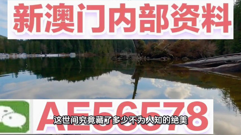 2025新澳門精準(zhǔn)免費(fèi)大全