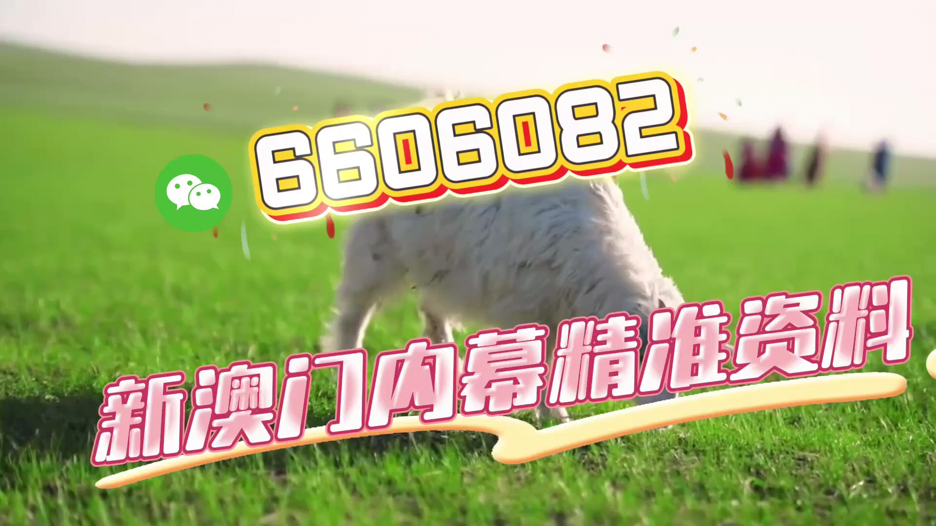 揭秘背后的秘密與策略