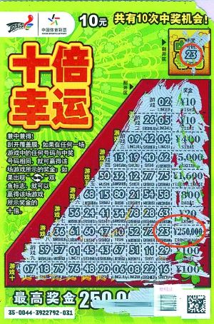 王中王平特一肖好彩頭——揭秘好運(yùn)背后的秘密，揭秘好運(yùn)背后的秘密，王中王平特一肖好彩頭解析