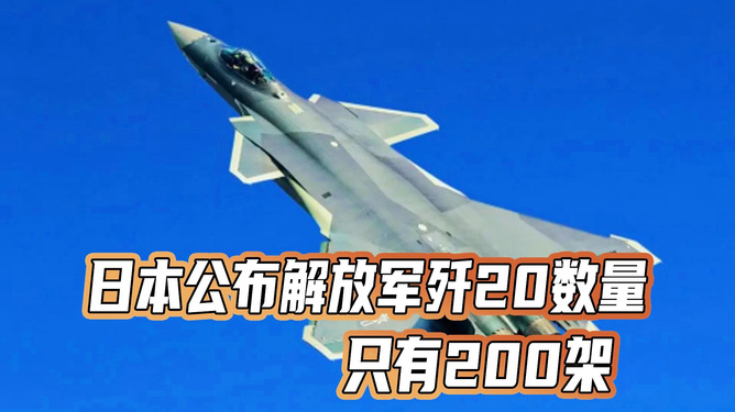 關(guān)于日本公布?xì)?20數(shù)量的探討，日本公布?xì)?20數(shù)量的深度探討