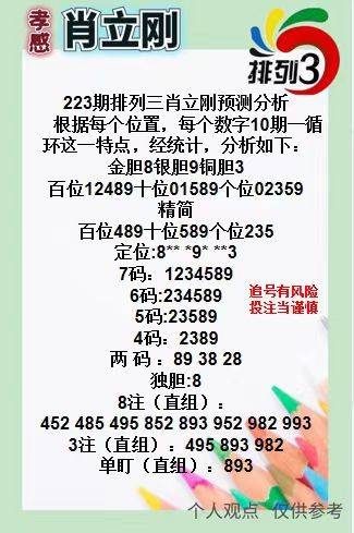 王中王三肖一碼資料，深度解析與SEO優(yōu)化策略，王中王三肖一碼資料深度解析與SEO優(yōu)化策略全攻略