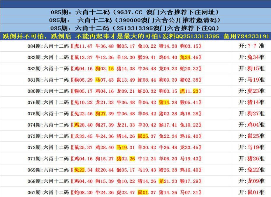 澳門六合正版資料，深度解析與探索，澳門六合正版資料深度解析與探索之旅