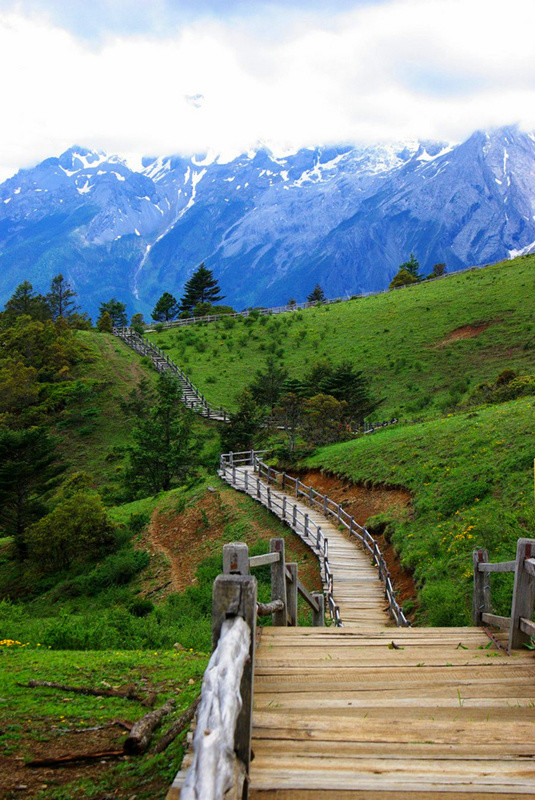 玉龍雪山門票免費(fèi)政策詳解，玉龍雪山門票免費(fèi)政策全面解析