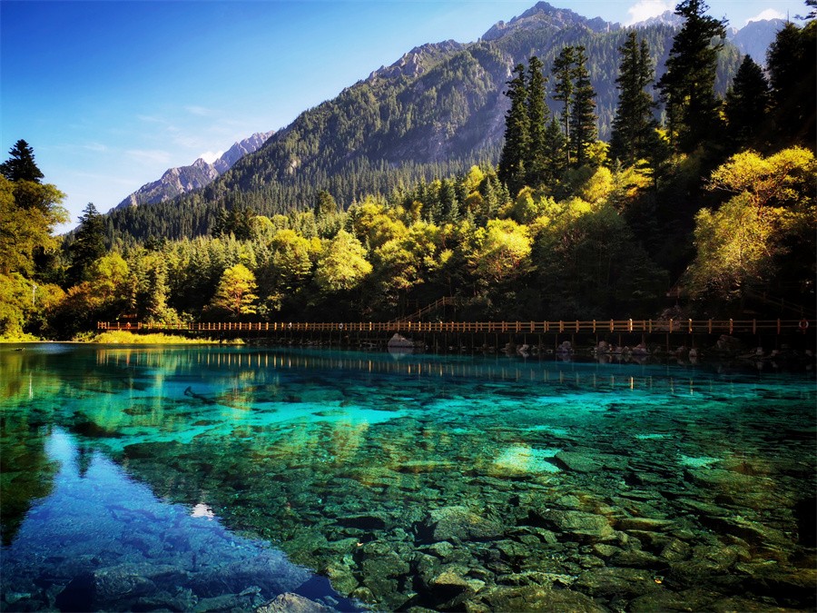 阿壩旅游網(wǎng)，探索九寨溝門(mén)票的最佳選擇，阿壩旅游網(wǎng)，探索九寨溝門(mén)票的最佳平臺(tái)