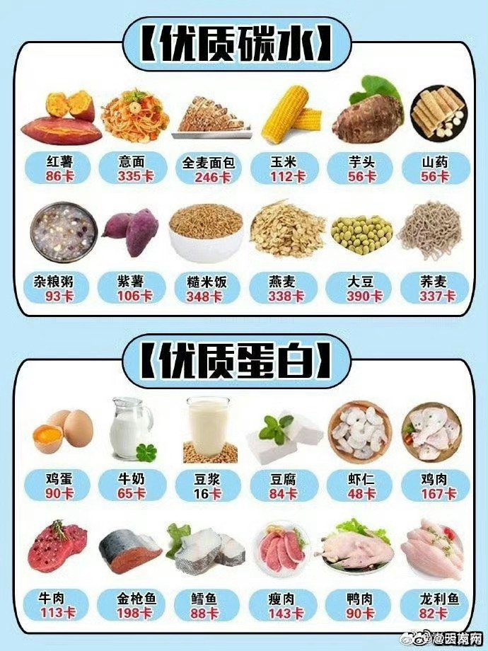 各種食物熱量表大全，健康飲食的必備指南，食物熱量表全面解析，健康飲食的必備指南