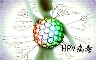HPV病毒能否徹底清除？深度解析與應(yīng)對策略，深度解析HPV病毒能否徹底清除，應(yīng)對策略及應(yīng)對方法