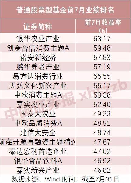 諾安價值增長基金的凈值表現(xiàn)與市場洞察，諾安價值增長基金凈值表現(xiàn)與市場洞察分析