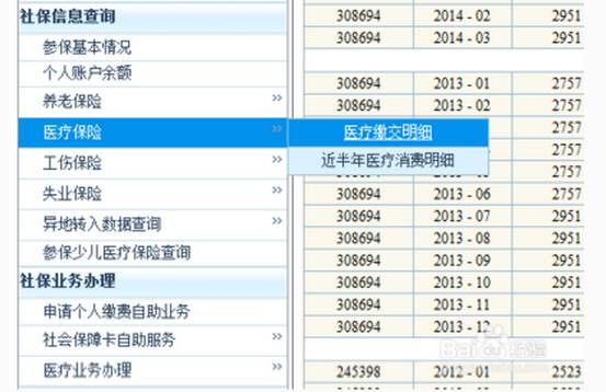 2025新澳門歷史記錄查詢完全指南，澳門歷史記錄查詢完全指南（2025版）