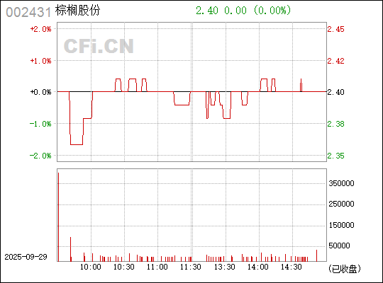 探索棕櫚股份股吧，深度解析與前景展望（股票代碼，002431），棕櫚股份深度解析與前景展望，股票代碼002431