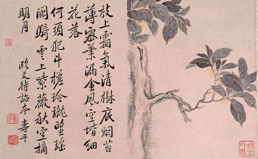 世外挑園，揭秘劉伯溫一肖的神秘魅力，揭秘劉伯溫一肖的神秘魅力，世外挑園之旅