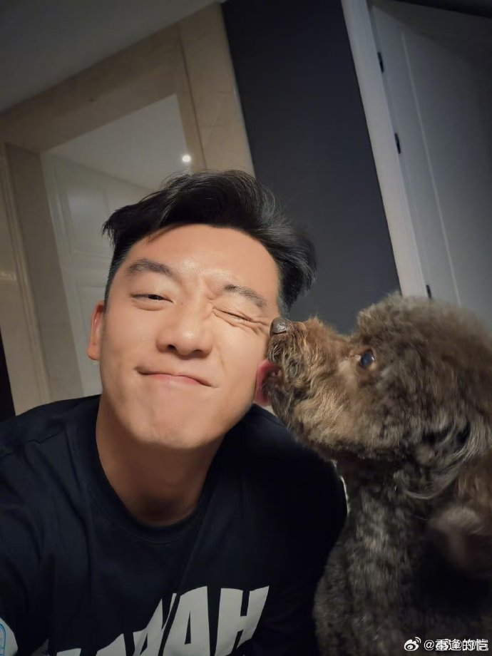 鄭愷微博，星光璀璨，與粉絲互動的無盡魅力，鄭愷微博，星光魅力與粉絲互動的璀璨舞臺