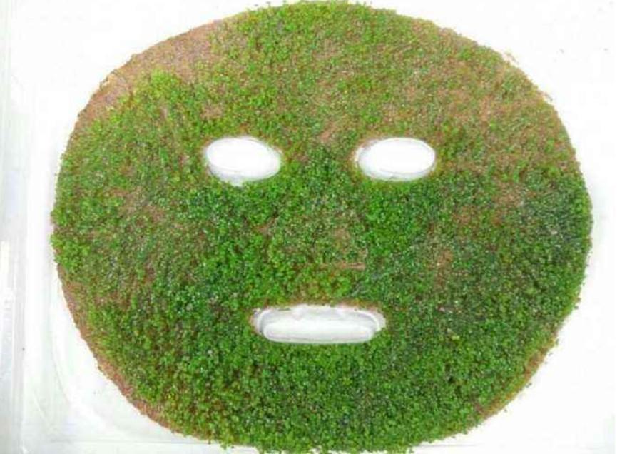 海藻面膜可以天天敷嗎？——深度解析海藻面膜的使用頻率與注意事項，海藻面膜的使用頻率與注意事項解析，能否天天敷海藻面膜？