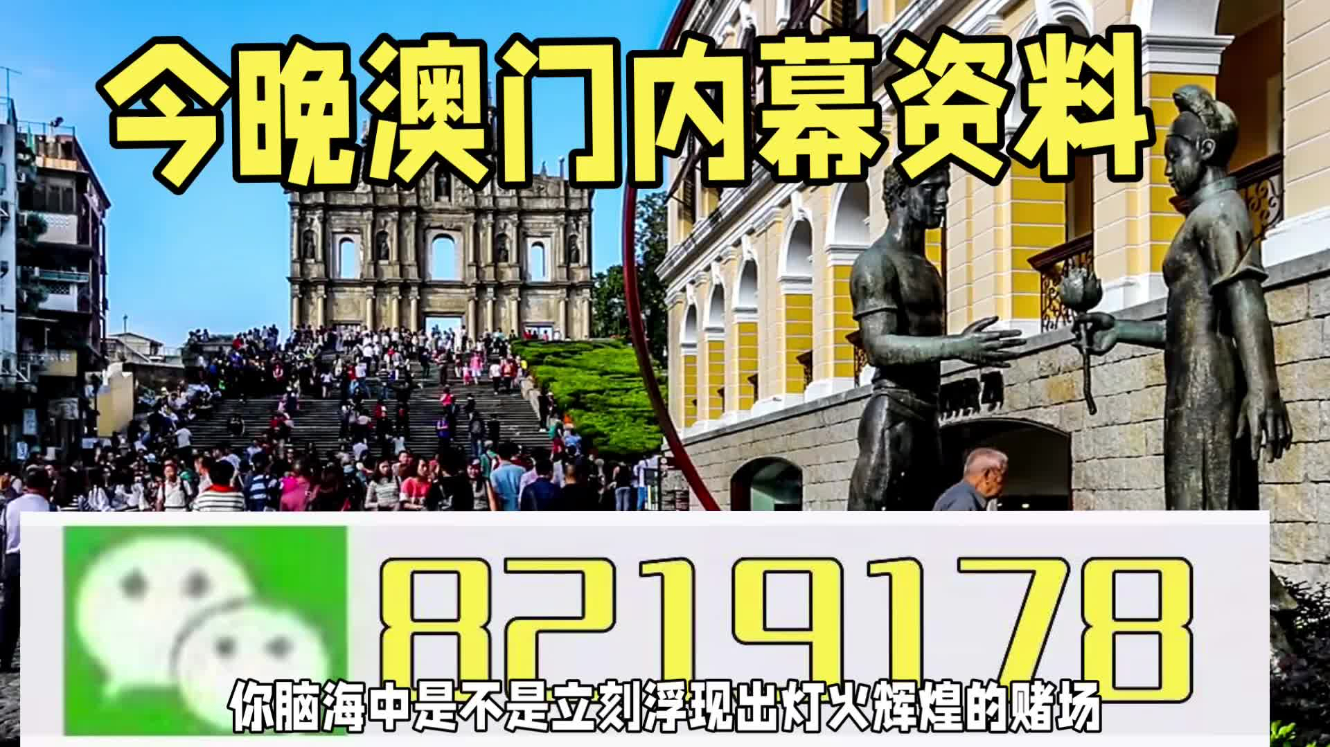 新澳門一肖一特一中，探索與解讀，新澳門一肖一特一中，深度探索與解讀