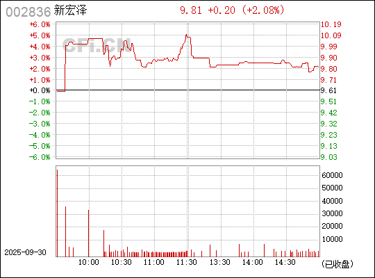 深入了解數(shù)字代碼，002836——探索其背后的含義與應用，揭秘數(shù)字代碼002836背后的含義與應用探索